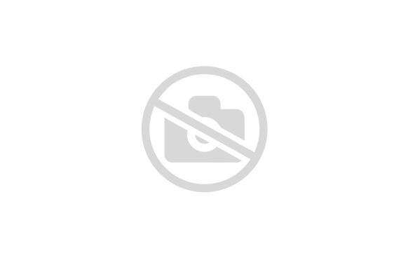 Лестница Л1/4780 (ТПР 901-9-17.87)