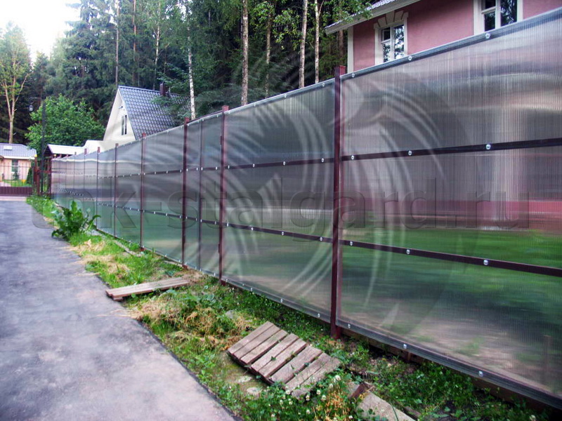 Забор из поликорбаната/6402